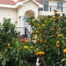 안선생민박 이미지