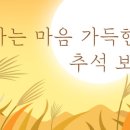 레드로즈빈 이미지