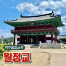 경주 사진 명소 월정교 가볍게 둘러보기 좋은 포토스팟