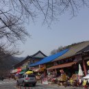 계룡산약국 이미지