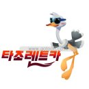 렌터카타조