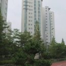 양촌주유소 이미지