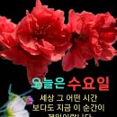 도레미 노래교실 이미지