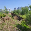 올레길 도심형 2코스 이미지