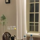 하나로마트 금성농협본점 이미지