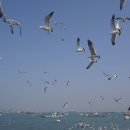 이충레포츠공원
