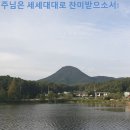 세세 이미지