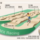 광나루로 이미지