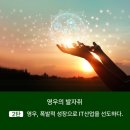 영우유통 이미지