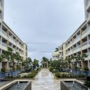 비치고안경원 | 25.07 보홀3일차 툭툭이 타고 초콜릿힐 안경원숭이