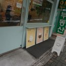 카페시트러스페이퍼