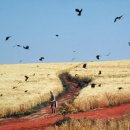 영화방앗간 이미지