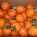 감나무골농장 이미지