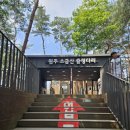 원주강건너민박 | 원주 소금산 출렁다리 · 소금잔도 · 스카이타워까지 완전 정복 | 강원도 당일치기 여행 코스 추천