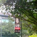 2010 포뮬러1 싱가폴공연 광고사진들 이미지