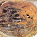 창원 다호리고분군 이미지