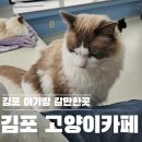 솔빈마루 | 김포아기랑 가볼만한곳, 솔빈마루 고양이카페 아이와 방문 후기