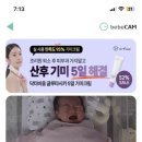 미즈맘 테라피