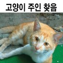 서초1동010 이미지