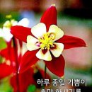 좋은사람들 Daum카페