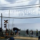 도쿄 소도시 당일치기 여행 슬램덩크 성지 '가마쿠라코코마에역' 가는 법 & 솔직후기