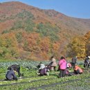 양학동주민센터 이미지