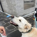 오션서프 이미지