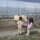 동화초등학교 병설유치원 이미지