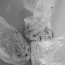 문정탑 동물병원 이미지