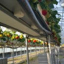 비량농원 이미지