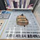 천원세탁소 | 명품 버버리 백팩 천 가방 세탁 얼룩제거 냄새 관리방법｜체크 원단 복원