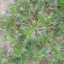 민지네농장 이미지