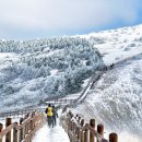 제231차 단양 소백산 정기산행 안내 이미지