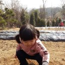 서율농장 이미지