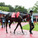 라온축산 이미지