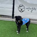 호야네 이미지