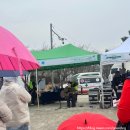 삼창치킨 | 2025 경기둘레길 3.1절 걷기행사 평택 45코스 후기