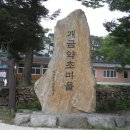 개금약초