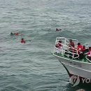 영랑동 해안방파제 이미지