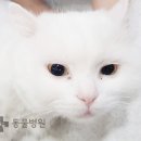 해운대 플러스동물병원 이미지