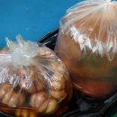 고치고정비소 이미지