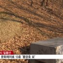 차수철 | [중부]일봉산 개발, 문화재 훼손 우려