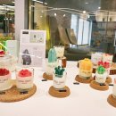 주식회사 소셜프렌즈 이미지