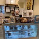 참외전로 | 인천 수제간식 멍이네이야기 ㅣ 숭의동 애견수제간식 후기