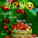 화요일 이미지
