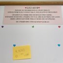 견생냥품 이미지