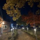 육하원칙직산점 | [천안 직산] 내돈내산 돌판에 구워 먹는 삼겹살 맛집 묵은지와 불쇼까지!! ::육하원칙 직산점::