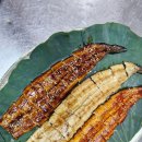 산골연잎장어 이미지