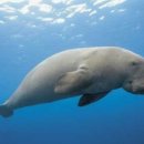 관악구민체육센터 이미지