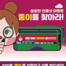 송디자인 이미지